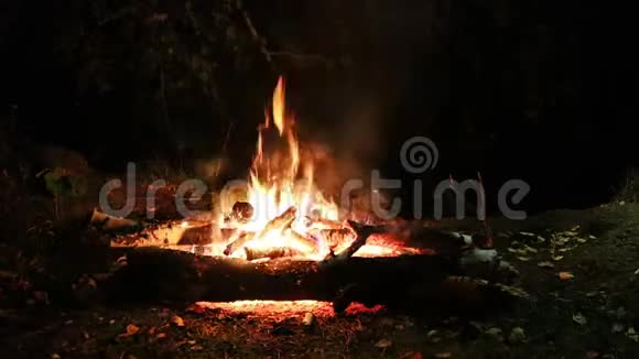 晚上森林里河边篝火浪漫的夜晚视频的预览图