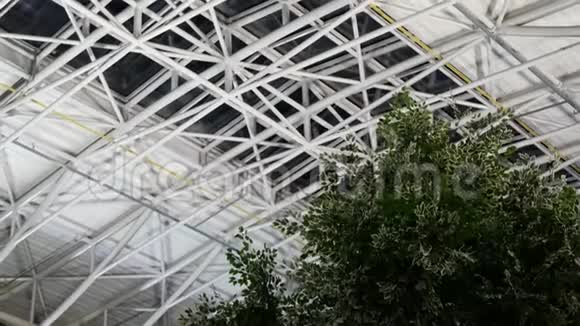 绿树和大型钢结构屋顶背景视频的预览图