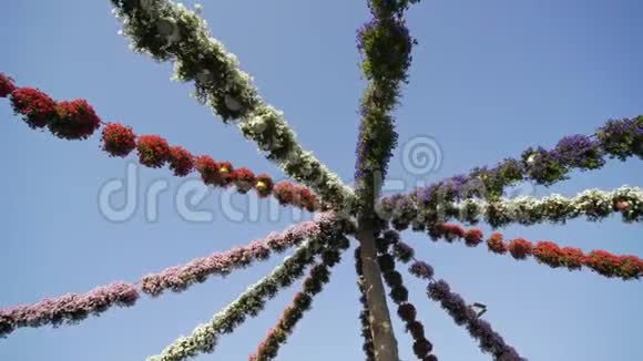 公园里挂满鲜花的花环视频的预览图