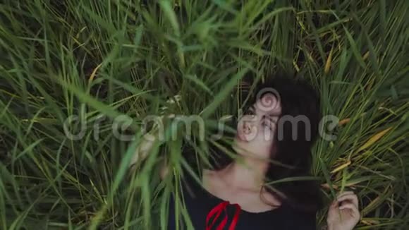 从上面可以看到一个美丽的长发黑发女孩躺在绿色的高草中抚摸着抚摸着视频的预览图