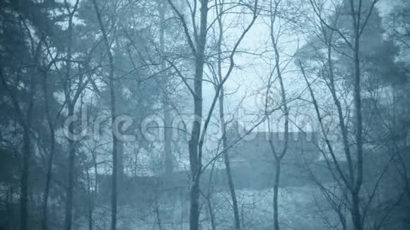在大雪中躲在树林中的小木屋里形成了射击视频的预览图