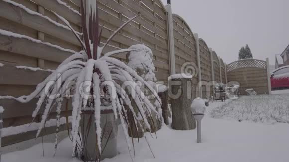 覆盖城市花园的降雪视频的预览图