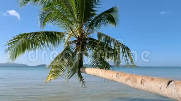 热带海滩有椰子棕榈和绿松石水岛屿热带海滩白色沙滩绿松石海水和视频的预览图