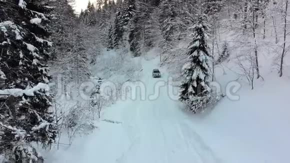 在神奇的冬季森林中骑在雪道上的孤独汽车的鸟瞰图视频的预览图