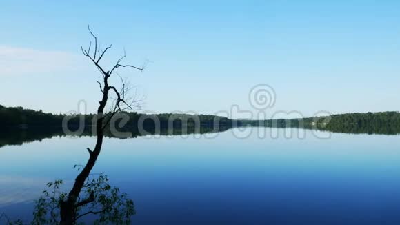 美丽的明尼苏达湖反映了遥远的海岸线与森林和蓝天在清晨的光线在淘沙剪辑视频的预览图