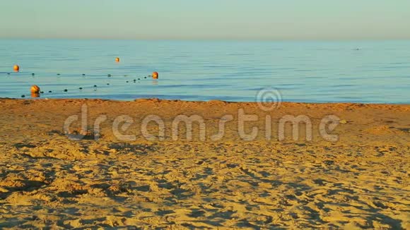 日出后平静的大海和金色的沙质海岸视频的预览图