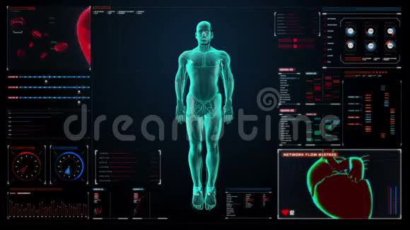 在数字显示仪表板中扫描男性体内的血管X光透视视频的预览图
