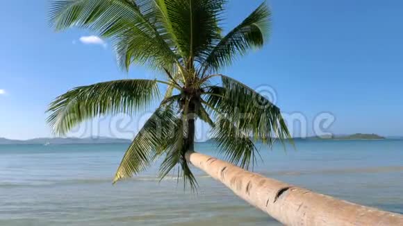 热带海滩有椰子棕榈和绿松石水岛屿热带海滩白色沙滩绿松石海水和视频的预览图