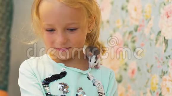 可爱的小女孩肩膀上有可爱的幼鼠视频的预览图