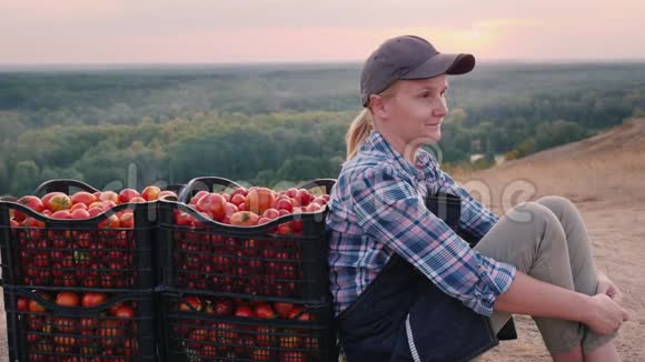 一个年轻的农民坐在盒子里收集的西红柿附近在一个风景如画的地方休息视频的预览图