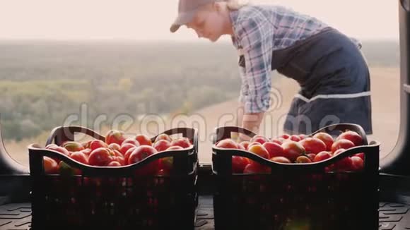 女农民把装有西红柿的箱子放在汽车后备箱里收获概念视频的预览图