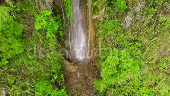 丛林中悬崖上的一股水流菲律宾吕宋岛瀑布视频的预览图