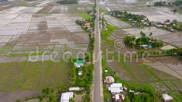 道路沿稻田俯视吕宋岛上的农田视频的预览图