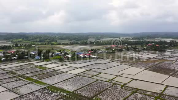 菲律宾村庄和稻田被水淹没视频的预览图