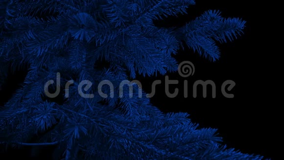 在黑暗中传递未装饰的圣诞树视频的预览图
