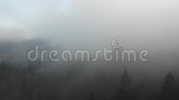 雾延伸到针叶林上雾蒙蒙的早晨在山区的地形天气自然4K飞机视频的预览图