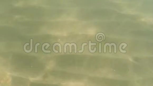透明的海水阳光照射在沙滩上视频的预览图