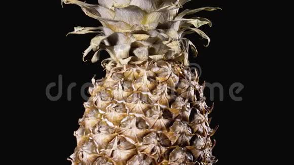 菠萝在黑色背景上旋转菠萝鳞片皮和皇冠的细节4K视频的预览图