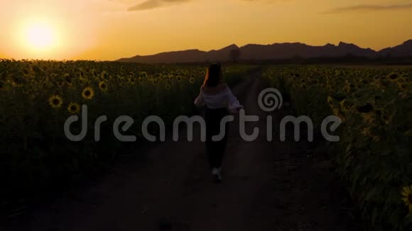 日落时分女人在向日葵田散步和享受视频的预览图
