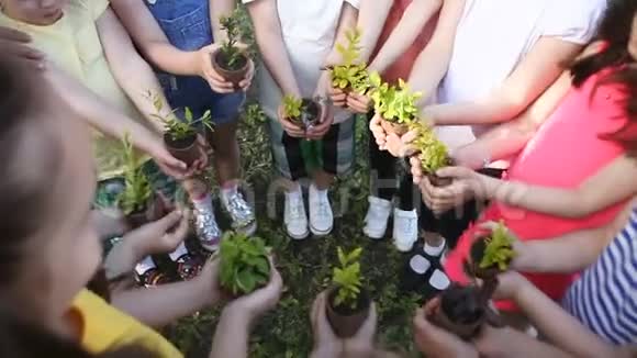孩子们用植物抱着树苗的手视频的预览图