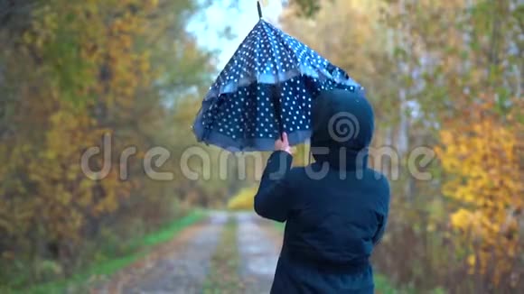 一个穿着蓝色夹克和蓝色牛仔裤的苗条甜美的女人在蓝色伞下的湿路上穿过秋天公园视频的预览图