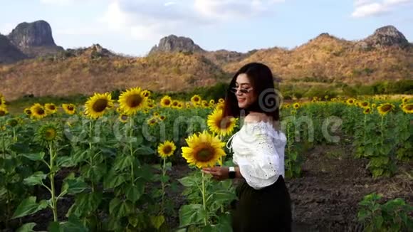 泰国罗布里高珍莱妇女与向日葵一起散步和享受的慢动作视频的预览图