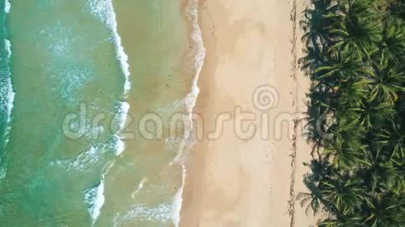 鸟瞰热带沙滩和蓝色海洋阳光明媚的一天海浪到达海岸的顶部景色巴拉望视频的预览图