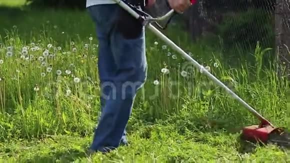 一位园丁用一把汽油刷刀割草割草视频的预览图