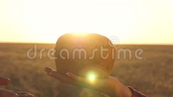 农夫和面包师的手在夕阳下的一片麦地上拿着新鲜的面包手掌上的美味面包视频的预览图