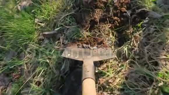 挖掘土壤POV片段视频的预览图
