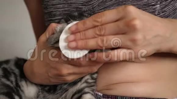 太太对待一只猫宠物护理兽医用猫眼擦药视频的预览图