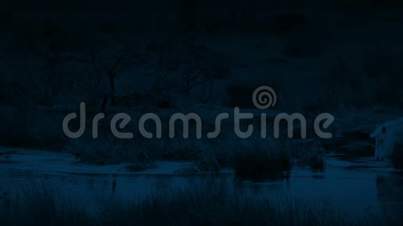 夜深荒野中的马渡河视频的预览图