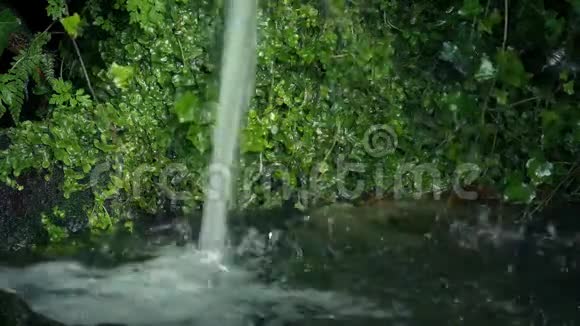 花园水特征流视频的预览图