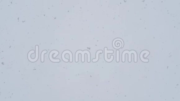 大片雪或灰烬的混沌运动白雪从上面飘落到灰色的天空视频的预览图