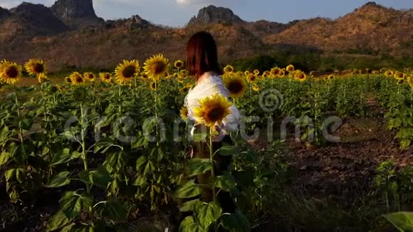 泰国罗布里高珍莱妇女与向日葵一起散步和享受的慢动作视频的预览图