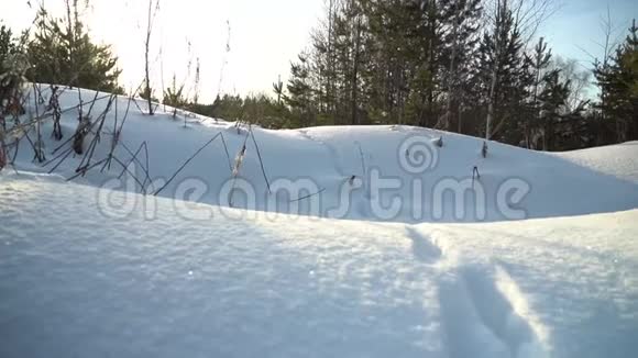 白雪覆盖了森林中的山丘痕迹晴天摄像机移动视频的预览图