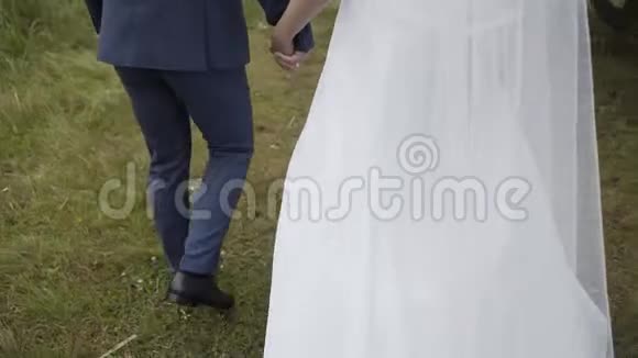 幸福的新娘和新郎走在绿草上视频的预览图