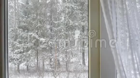 窗外降雪一片冬林视频的预览图