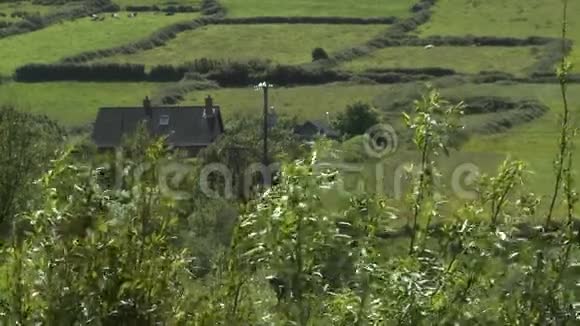 农场旁边的家视频的预览图