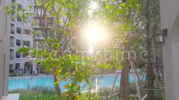 泰国安全套中心附近热带绿色植物的日落视频的预览图