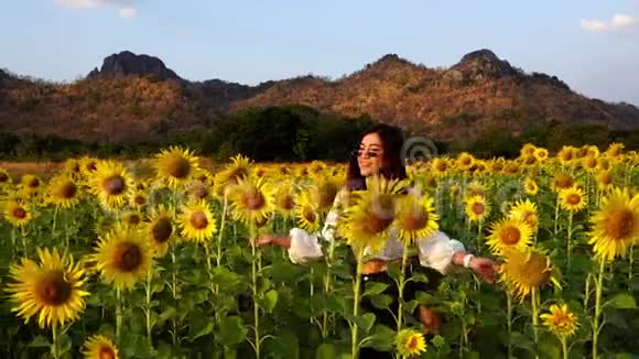 泰国罗布里高珍莱妇女与向日葵一起散步和享受的慢动作视频的预览图