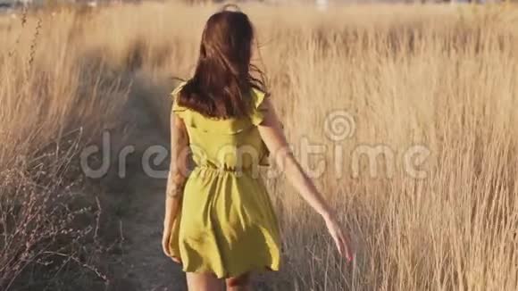 年轻女子在夏天的田野里慢动作地走着摸着干枯的高草视频的预览图