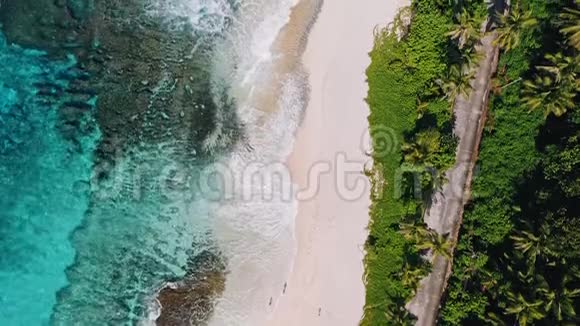 塞舌尔马赫岛空中俯视热带海滩安塞巴扎卡暑假旅游和生活方式视频的预览图