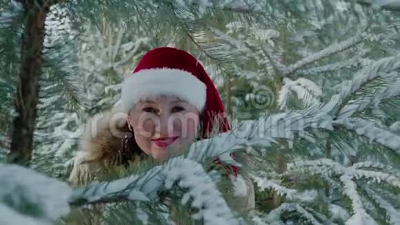 穿着红色圣诞帽穿过冬林云杉树枝的嬉戏的女人新年的肖像微笑女人视频的预览图