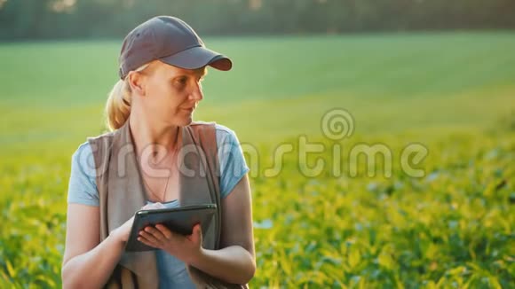 农民作品的肖像在一片年轻的玉米地使用平板电脑侧视图视频的预览图
