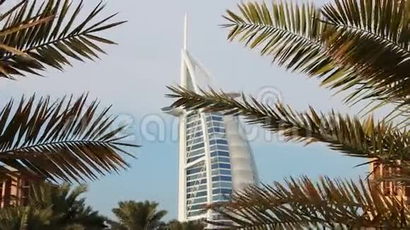 阿联酋迪拜2019年12月14日迪拜帆船酒店背景棕榈树特写镜头视频的预览图