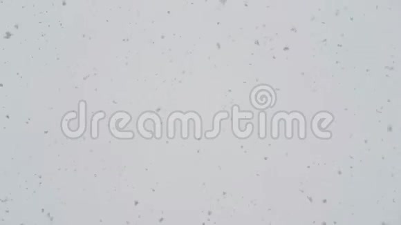 大片雪或灰烬的混沌运动白雪从上面飘落到灰色的天空视频的预览图