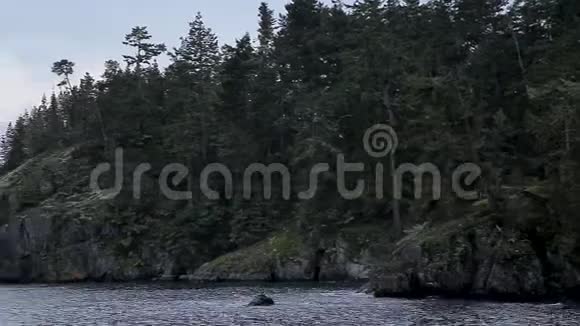 俯瞰温哥华岛海岸线的小海湾高清24FPS视频的预览图