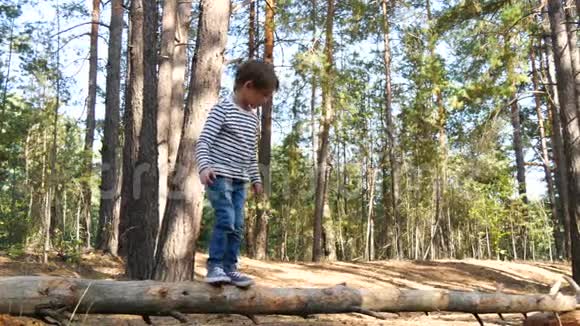 可爱的小男孩走在森林背景下的一根薄薄的原木上孩子培养敏捷和勇气这就是视频的预览图