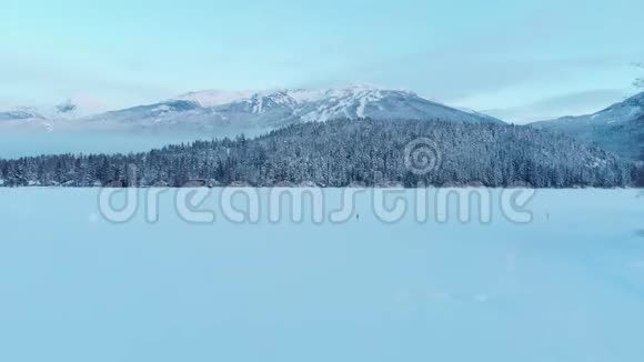 空中无人机的镜头雪覆盖的树木与惠斯勒山的背景4K24FPS视频的预览图